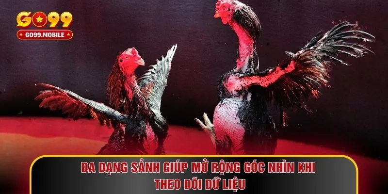 Đa dạng sảnh giúp mở rộng góc nhìn khi theo dõi dữ liệu