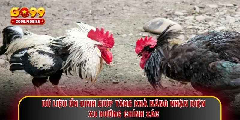 Dữ liệu ổn định giúp tăng khả năng nhận diện xu hướng chính xác